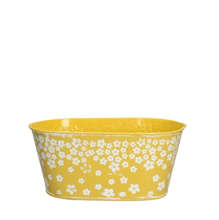 <h4>Zinc Spring tray 20.5*12*9cm</h4>