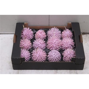 F-stekel Glitters Pink Roze