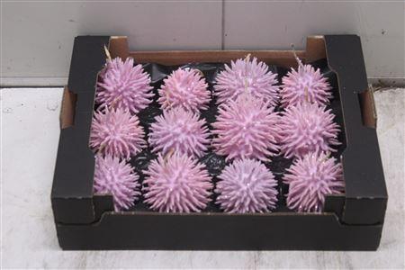 <h4>F-stekel Glitters Pink Roze</h4>