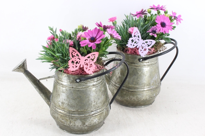 <h4>arr4 Outdoor MB - Zink gieter green 285/6</h4>