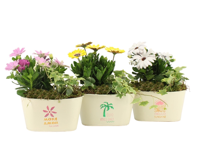<h4>31606: Outdoor summer arrangement</h4>
