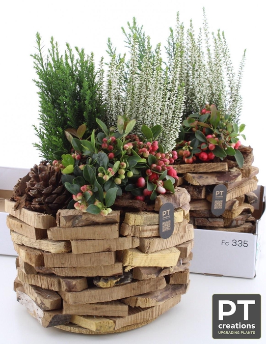 <h4>ARR TUINPLANTEN H%</h4>