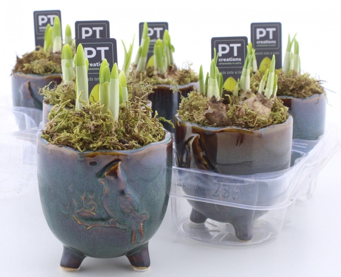 <h4>ARR N TETE A TETE</h4>