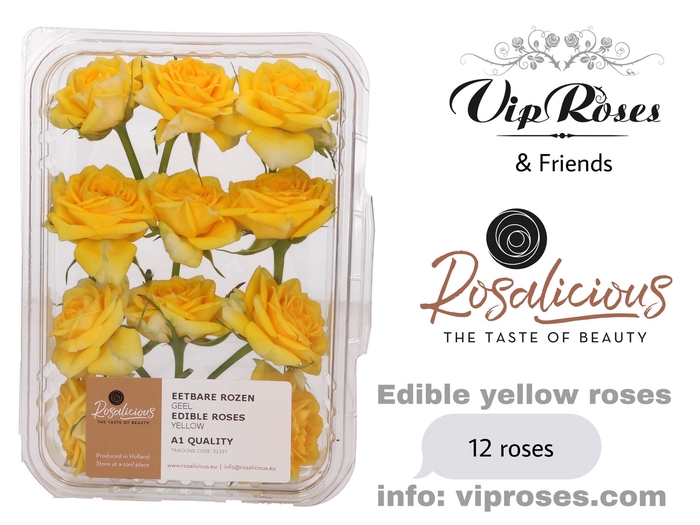 ZS R EDIBLE ROSALICIOUS YELLOW