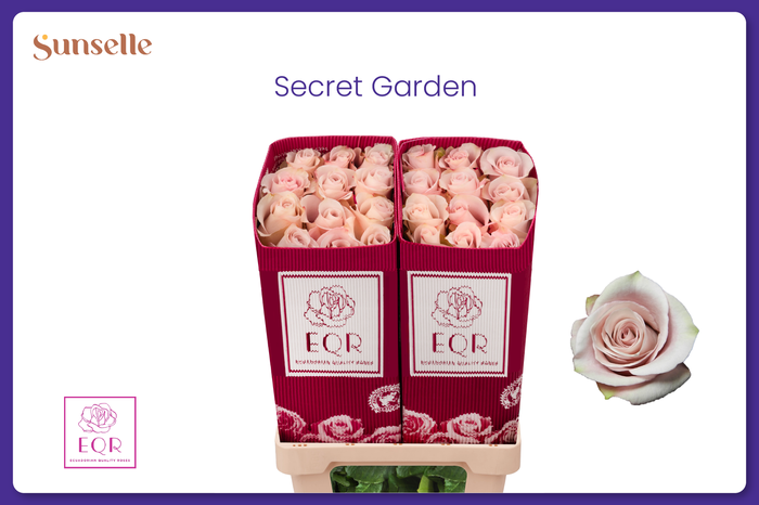 <h4>R GR SECRET GARDEN!</h4>