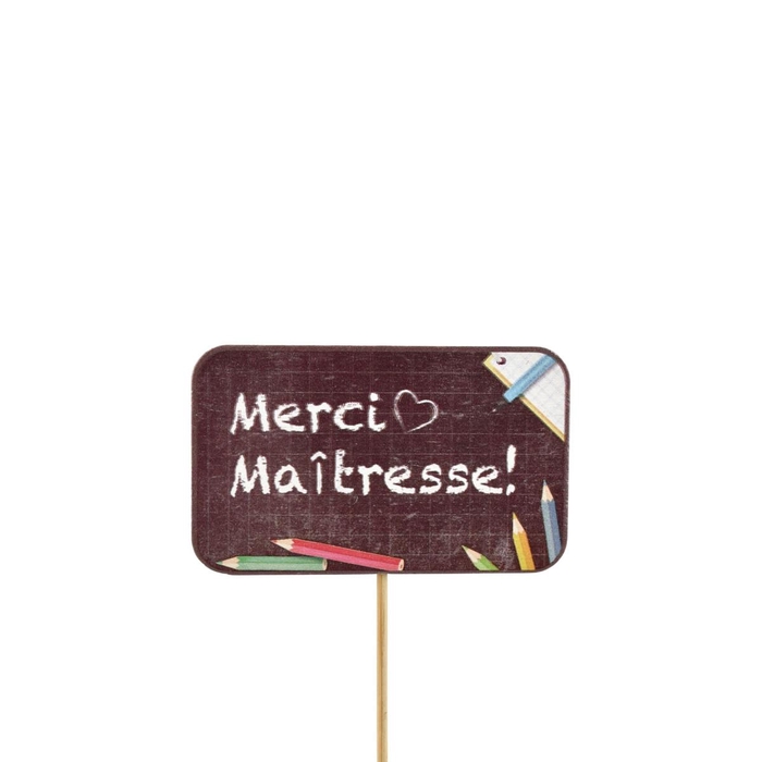 <h4>Sticks  8cm Merci maîtresse 5.5cm</h4>
