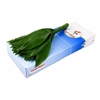 Aspidistra