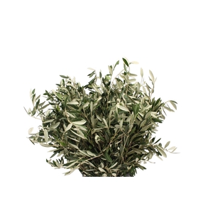 Olijf 400gram