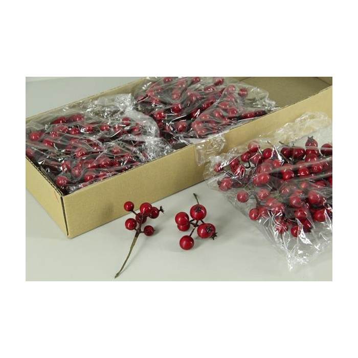 <h4>Stick Berries Rose Red Bag(24)</h4>