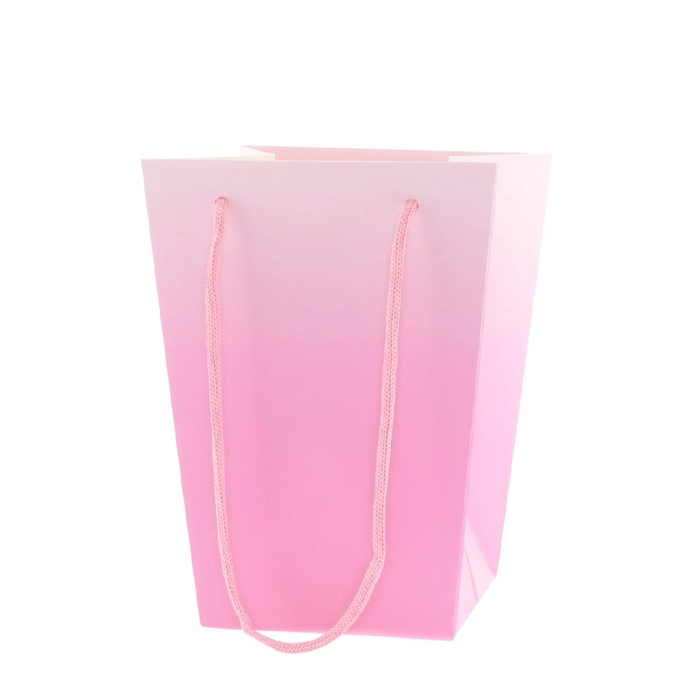 <h4>Bags Noor 15/15*11/11*20cm</h4>