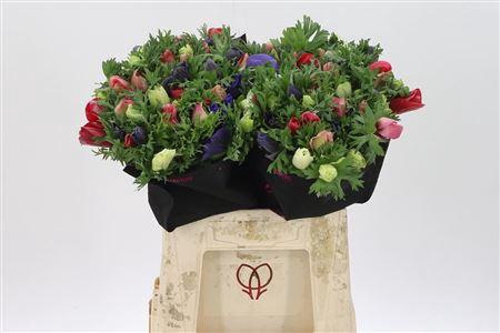 <h4>Anem Co Mis Mixed</h4>