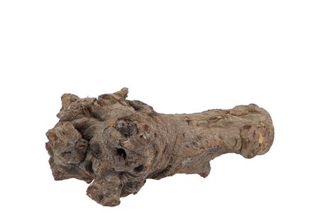 <h4>NATURE KUWA WOOD GREY 25-30CM</h4>