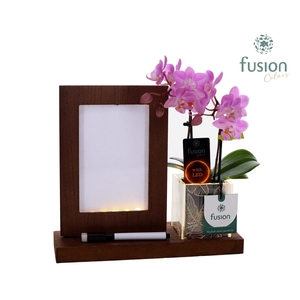 Acryl LED Glow Art Frame met Phalaenopsis