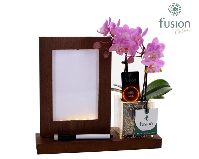 <h4>Acryl LED Glow Art Frame met Phalaenopsis</h4>