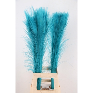 Feather Peacock Blue 90cm