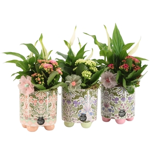 21901: Contradiction arrangement