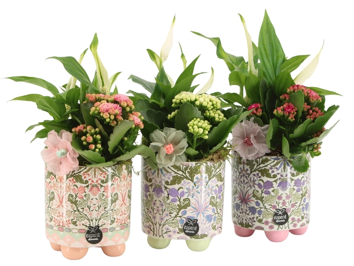 <h4>21901: Contradiction arrangement</h4>