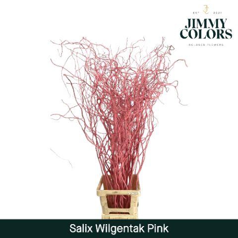 <h4>Salix Golden Curls Pink</h4>