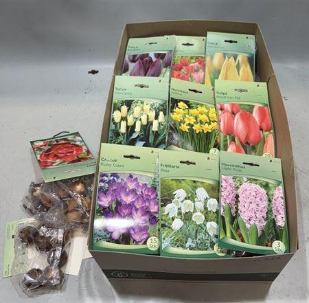 <h4>Bloembol Gemengd In Zakjes</h4>