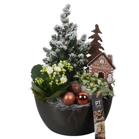 <h4>PTCHB9712 Arrangementen Kerst</h4>