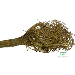 CURLY TING TING LIME GREEN 40CM 150