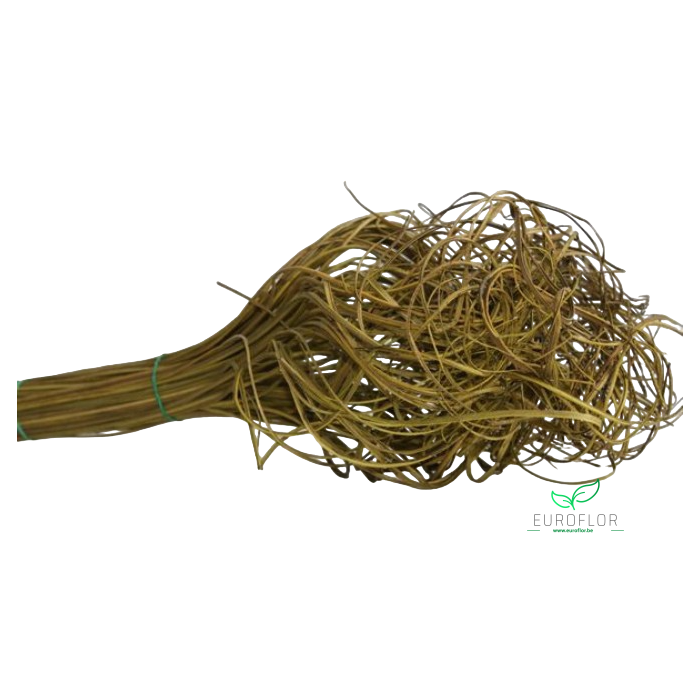 <h4>CURLY TING TING LIME GREEN 40CM 150</h4>