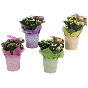 Easter Arr. Indoor Zinc Pot Round Bunny Relief Ø10cm 1PP