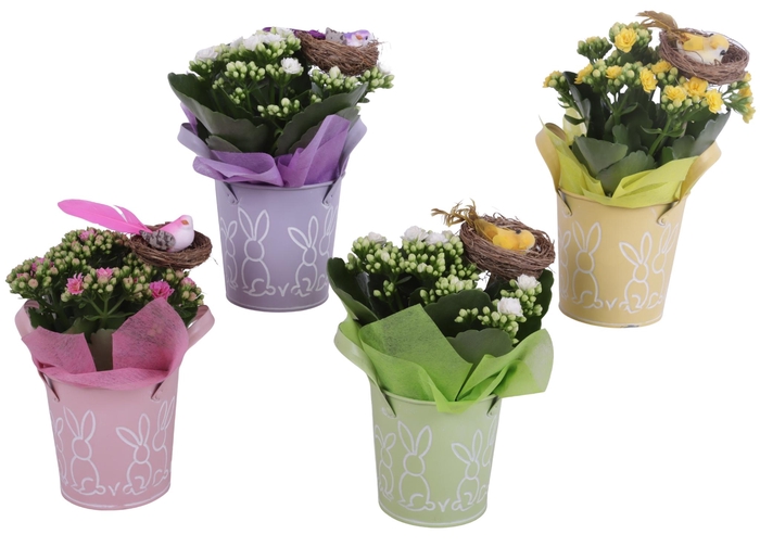 <h4>Easter Arr. Indoor Zinc Pot Round Bunny Relief Ø10cm 1PP</h4>