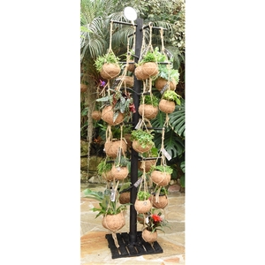 Kokodama Black Tree INCLUDING 48 best selling Kokodama's