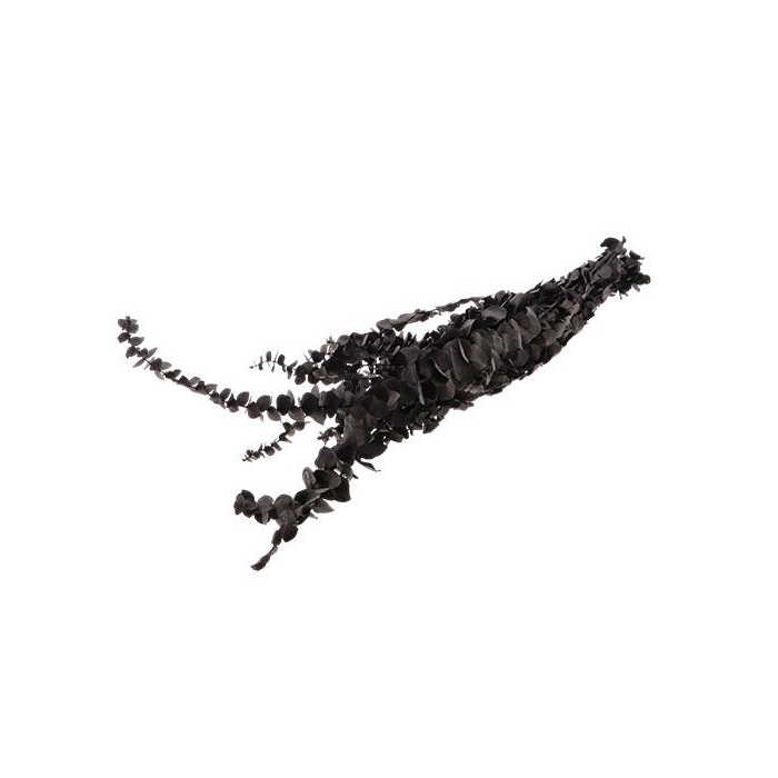 <h4>Bunch Eucalyptus Baby L65</h4>