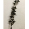 SILK FLOWERS - JAPANESE PINE SPRAY COPPER 78CM