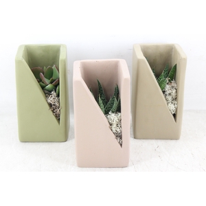 arr3 Demi - Meles concrete mix