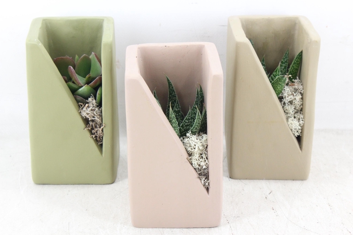 <h4>arr3 Demi - Meles concrete mix</h4>