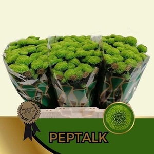 CHR SAN PEPTALK