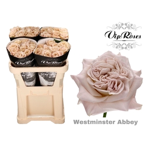 R GR WMINSTER ABBEY!