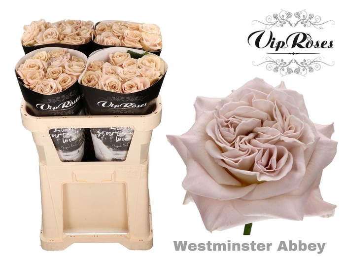 <h4>R GR WMINSTER ABBEY!</h4>