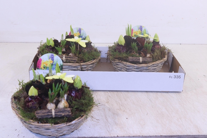 <h4>ARR BOL KNOLGEWAS</h4>