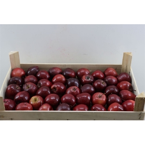 Sier Appels Red Ex 5kg P Wdn Box