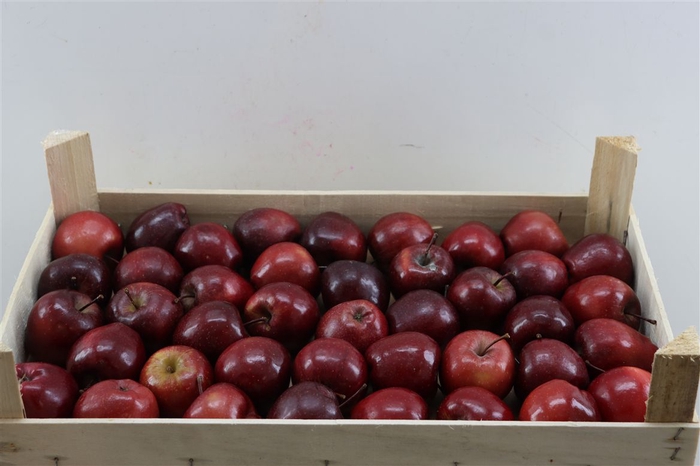 <h4>Sier Appels Red Ex 5kg P Wdn Box</h4>