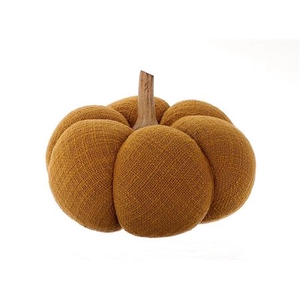 Pumpkin Gautal H25D25