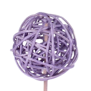 Bijsteker Bruce ball 5cm+12cm stok lila