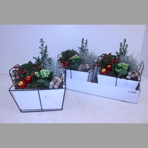 ARR TUINPLANTEN