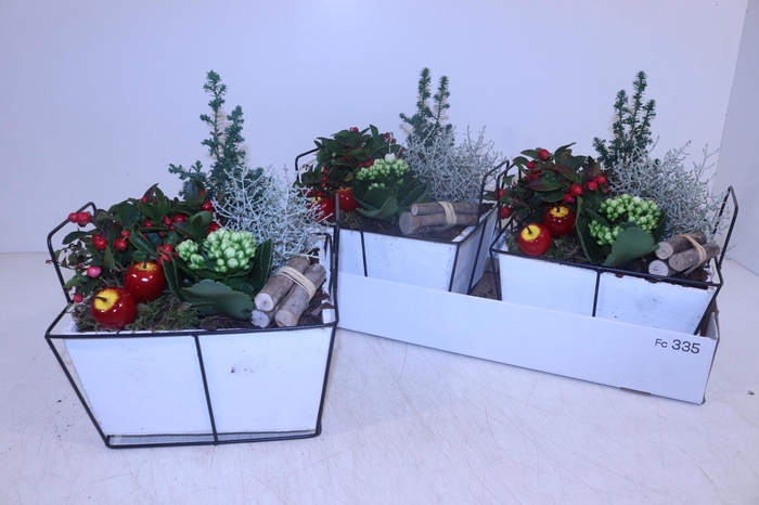 <h4>ARR TUINPLANTEN</h4>