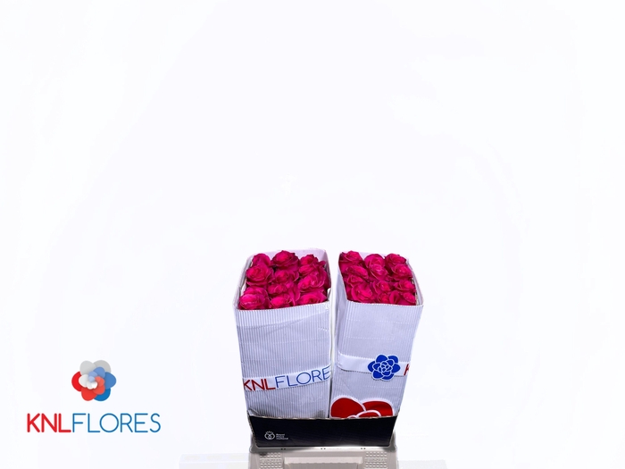 <h4>R GR FULL MONTY!</h4>