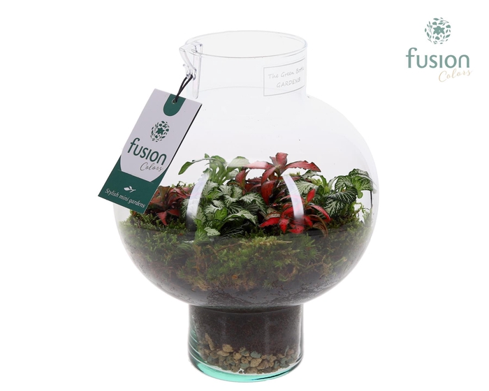 <h4>Green Bottle Laura Small met Fittonia</h4>