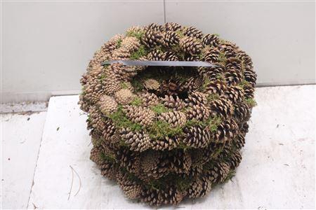 <h4>Krans Groenmoss Oost 40</h4>
