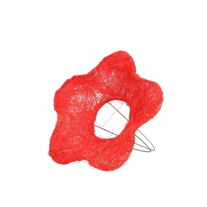 <h4>Bloem sisal d15cm</h4>