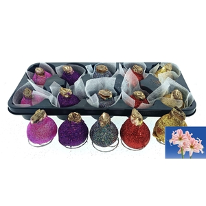 BLOEMBOL HIPPEASTRUM