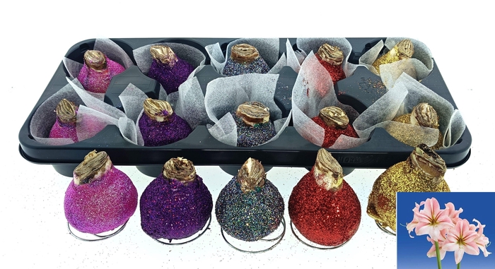 <h4>BLOEMBOL HIPPEASTRUM</h4>