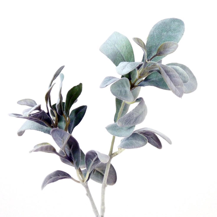 <h4>AF Stachys spray floc L70cm gr</h4>